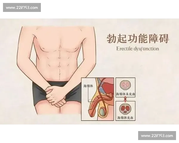 健美比赛中的男性勃起现象分析及其对比赛表现的潜在影响探讨
