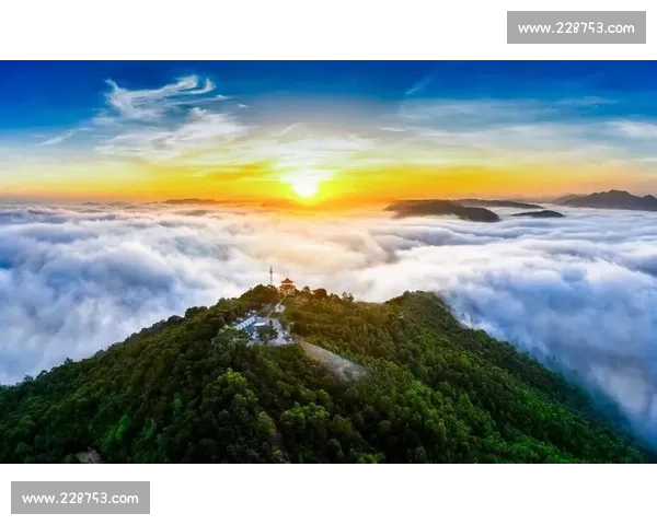 佛山摄影大赛：镜头下的城市风光与人文故事大揭秘