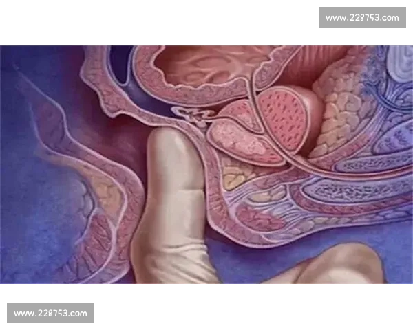 全球最美肛门大赛引发热议 探索美学与文化的独特碰撞