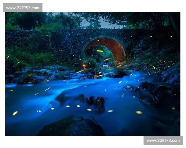 华为摄影大赛精彩瞬间征集与创意作品展示盛典