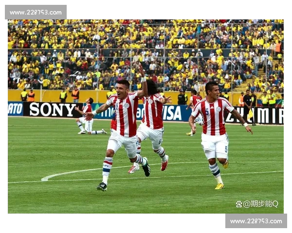 厄瓜多尔赛场精彩瞬间回顾与球队表现全面分析 厄瓜多尔赛场精彩瞬间回顾与球队表现全面分析